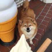 ヒメ日記 2025/06/23 22:55 投稿 すみれ 奥様鉄道69 東京店