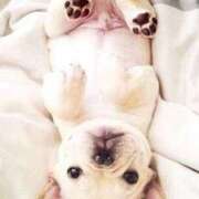 ヒメ日記 2025/06/28 23:05 投稿 すみれ 奥様鉄道69 東京店