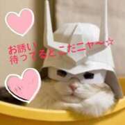 ヒメ日記 2025/06/30 14:10 投稿 すみれ 奥様鉄道69 東京店