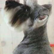 ヒメ日記 2025/07/01 20:01 投稿 すみれ 奥様鉄道69 東京店