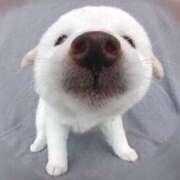 ヒメ日記 2025/07/01 22:45 投稿 すみれ 奥様鉄道69 東京店