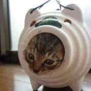 ヒメ日記 2025/07/02 19:17 投稿 すみれ 奥様鉄道69 東京店