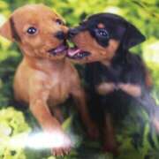 ヒメ日記 2025/07/19 22:55 投稿 すみれ 奥様鉄道69 東京店