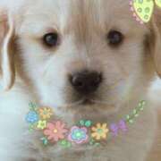 ヒメ日記 2025/07/22 22:45 投稿 すみれ 奥様鉄道69 東京店