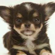 ヒメ日記 2025/07/25 22:45 投稿 すみれ 奥様鉄道69 東京店