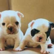 ヒメ日記 2025/07/26 22:45 投稿 すみれ 奥様鉄道69 東京店