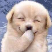 ヒメ日記 2025/08/04 21:45 投稿 すみれ 奥様鉄道69 東京店