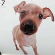 ヒメ日記 2025/08/06 22:45 投稿 すみれ 奥様鉄道69 東京店