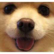 ヒメ日記 2025/08/25 22:45 投稿 すみれ 奥様鉄道69 東京店