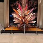 すみれ こんばんは。^ - ^ 奥様鉄道69 東京店