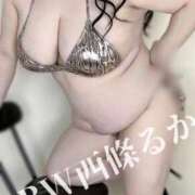 ヒメ日記 2025/04/24 06:40 投稿 西條～SAIJOU～ BBW名古屋店