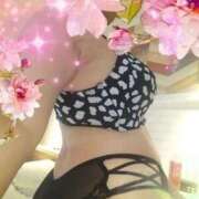 ヒメ日記 2025/05/08 10:20 投稿 雛森 鶯谷人妻城