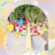 丸 今日も楽しかったです 鶯谷人妻城