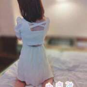 ヒメ日記 2025/02/10 07:01 投稿 ゆきみ スピードエコ梅田店