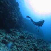 ヒメ日記 2025/06/17 10:27 投稿 浜崎　あみ セレブショップ新宿（東京ハレ系）