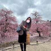 ヒメ日記 2026/03/15 11:44 投稿 神崎梨沙 五十路マダム　和歌山店