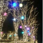 ヒメ日記 2024/12/25 11:54 投稿 二宮詩織 五十路マダム　和歌山店