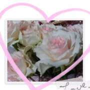 ヒメ日記 2025/01/27 12:56 投稿 二宮詩織 五十路マダム　和歌山店