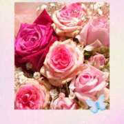 ヒメ日記 2025/05/10 11:16 投稿 二宮詩織 五十路マダム　和歌山店