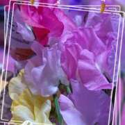 ヒメ日記 2025/07/14 13:46 投稿 二宮詩織 五十路マダム　和歌山店