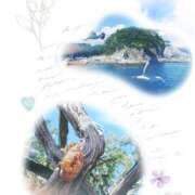 ヒメ日記 2025/08/07 21:42 投稿 二宮詩織 五十路マダム　和歌山店