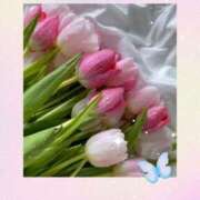 ヒメ日記 2025/10/25 12:42 投稿 二宮詩織 五十路マダム　和歌山店