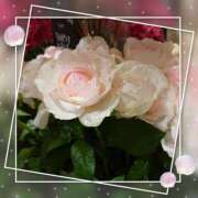 ヒメ日記 2025/12/01 10:46 投稿 二宮詩織 五十路マダム　和歌山店