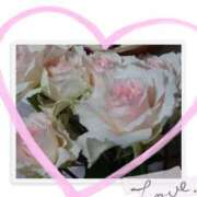 ヒメ日記 2025/12/08 12:34 投稿 二宮詩織 五十路マダム　和歌山店