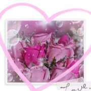 ヒメ日記 2026/03/11 11:54 投稿 二宮詩織 五十路マダム　和歌山店