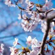 ヒメ日記 2026/04/01 12:06 投稿 二宮詩織 五十路マダム　和歌山店