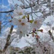 ヒメ日記 2026/04/07 10:10 投稿 二宮詩織 五十路マダム　和歌山店