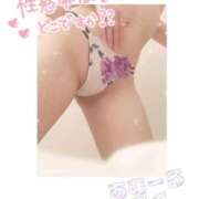 ヒメ日記 2025/12/29 06:00 投稿 ミルク AMOUR（アムール）