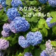 ヒメ日記 2025/07/01 23:44 投稿 愛川遥 五十路マダム　和歌山店
