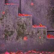 ヒメ日記 2025/10/10 06:53 投稿 さつき サンクチュアリ(上野)