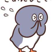 ヒメ日記 2025/11/01 06:52 投稿 さつき サンクチュアリ(上野)