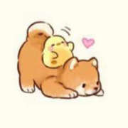 ヒメ日記 2024/12/28 10:31 投稿 仙道くらん TSUBAKI（水戸）