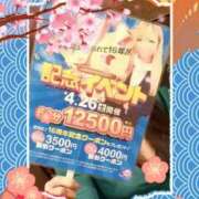 ヒメ日記 2025/04/16 17:20 投稿 仙道くらん TSUBAKI（水戸）