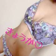 ヒメ日記 2025/02/22 18:24 投稿 きょうか フェアリードール