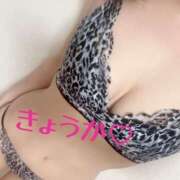 ヒメ日記 2025/04/14 12:04 投稿 きょうか フェアリードール