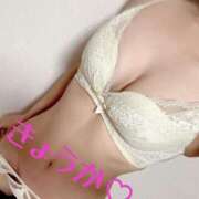 ヒメ日記 2025/04/15 11:33 投稿 きょうか フェアリードール