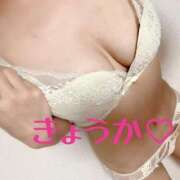 ヒメ日記 2025/05/14 12:23 投稿 きょうか フェアリードール