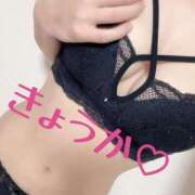 ヒメ日記 2025/05/19 12:23 投稿 きょうか フェアリードール