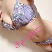 ヒメ日記 2025/08/04 10:33 投稿 きょうか フェアリードール