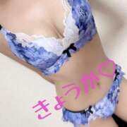 ヒメ日記 2025/08/12 10:23 投稿 きょうか フェアリードール