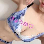 ヒメ日記 2025/08/16 17:23 投稿 きょうか フェアリードール