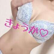 ヒメ日記 2025/08/23 10:03 投稿 きょうか フェアリードール