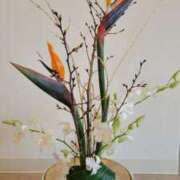 ヒメ日記 2024/12/27 17:32 投稿 鮎川みどり SUMIRE