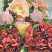 ヒメ日記 2025/01/18 09:35 投稿 鮎川みどり SUMIRE