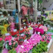 ヒメ日記 2025/05/08 14:53 投稿 鮎川みどり SUMIRE