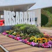 ヒメ日記 2025/05/26 16:15 投稿 鮎川みどり SUMIRE